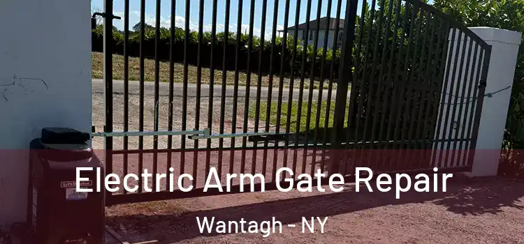 Electric Arm Gate Repair Wantagh - NY