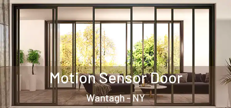 Motion Sensor Door Wantagh - NY